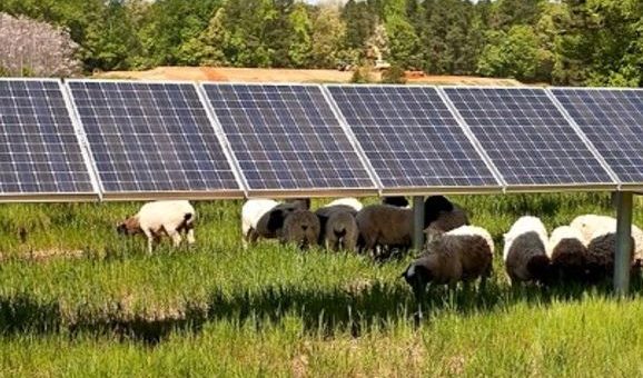 HEC-e dhe parqe fotovoltaikë – Pesë kërkesa të reja në MEI, ja vlera e investimit, Nertila Maho/SCAN, 28/04/2017