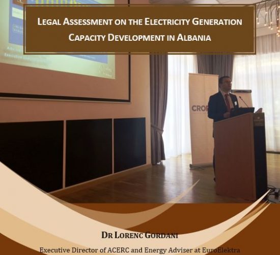 Report Release on Electricity Generation Capacity Development