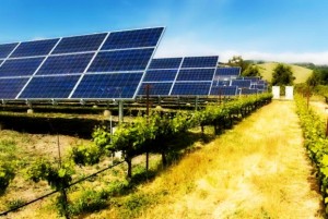 Prodhoni energji nga panelet diellore për konsum vetjak? Ja si do veproni për të shitur tepricat
