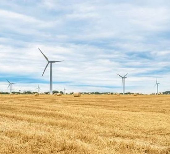 Romania, World: Transestern Power Trust has bought the OMV Dorobantu Wind Park in Dobrogea